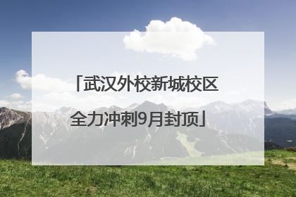 武汉外校新城校区全力冲刺9月封顶
