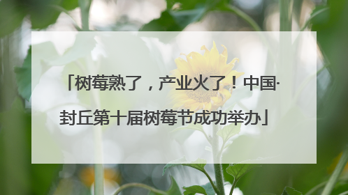 树莓熟了，产业火了！中国·封丘第十届树莓节成功举办