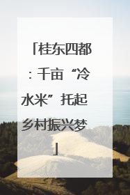 桂东四都：千亩“冷水米”托起乡村振兴梦