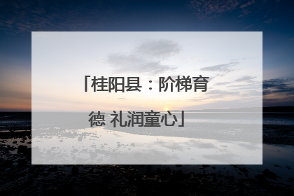 桂阳县：阶梯育德 礼润童心