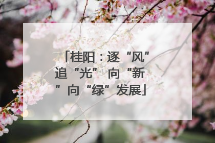 桂阳：逐“风”追“光” 向“新”向“绿”发展