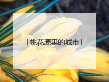 桃花源里的城市