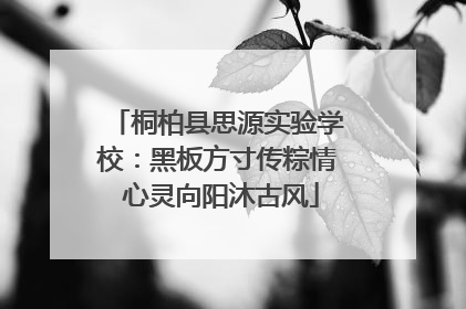桐柏县思源实验学校：黑板方寸传粽情 心灵向阳沐古风