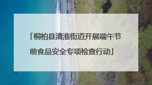 桐柏县清淮街道开展端午节前食品安全专项检查行动