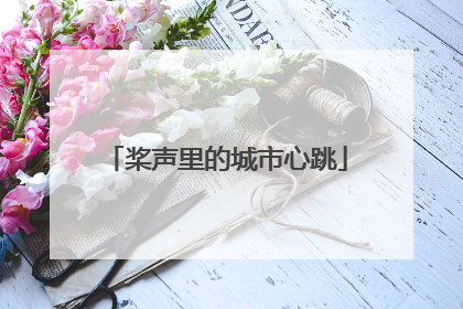桨声里的城市心跳