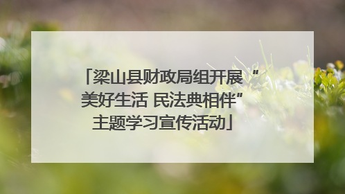 梁山县财政局组开展“美好生活 民法典相伴”主题学习宣传活动