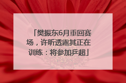 樊振东6月重回赛场，许昕透露其正在训练：将参加乒超