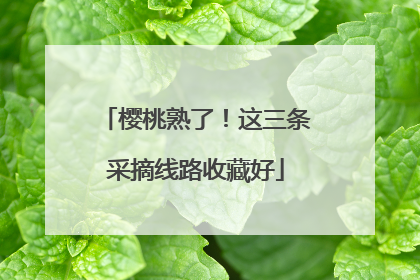 樱桃熟了！这三条采摘线路收藏好