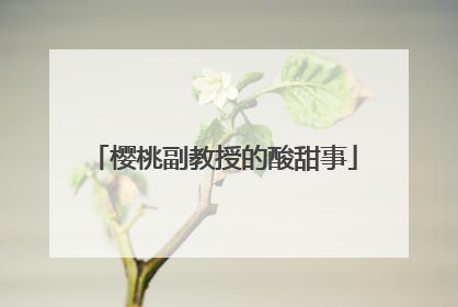 樱桃副教授的酸甜事