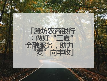 潍坊农商银行：做好“三夏”金融服务，助力“麦”向丰收