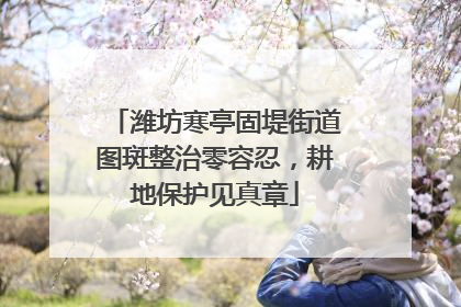 潍坊寒亭固堤街道图斑整治零容忍，耕地保护见真章