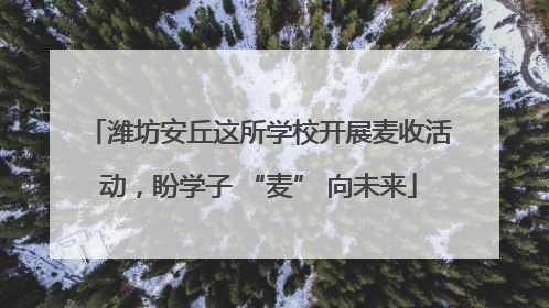 潍坊安丘这所学校开展麦收活动，盼学子 “麦” 向未来