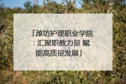 潍坊护理职业学院：汇聚职教力量 赋能高质量发展