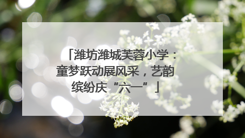 潍坊潍城芙蓉小学：童梦跃动展风采，艺韵缤纷庆“六一”