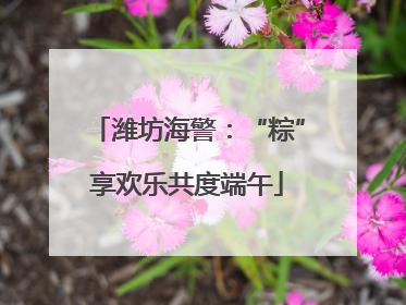 潍坊海警：“粽”享欢乐共度端午