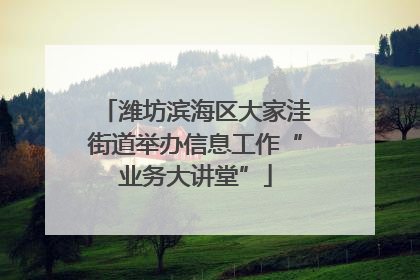 潍坊滨海区大家洼街道举办信息工作“业务大讲堂”