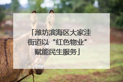 潍坊滨海区大家洼街道以“红色物业”赋能民生服务