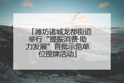 潍坊诸城龙都街道举行“提振消费·助力发展”首批示范单位授牌活动