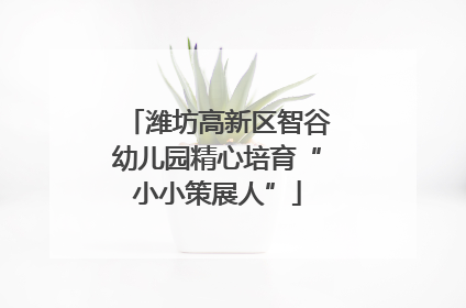 潍坊高新区智谷幼儿园精心培育“小小策展人”