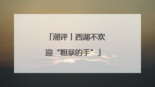 潮评丨西湖不欢迎“粗暴的手”