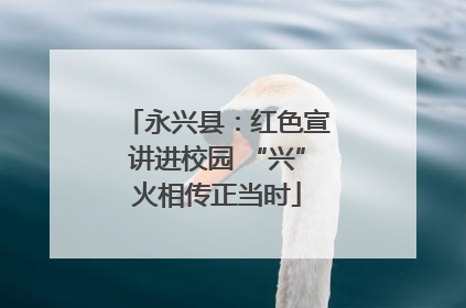 永兴县：红色宣讲进校园 “兴”火相传正当时