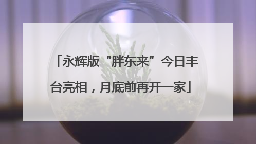永辉版“胖东来”今日丰台亮相，月底前再开一家