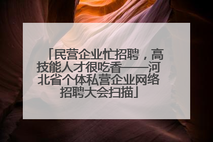 民营企业忙招聘，高技能人才很吃香——河北省个体私营企业网络招聘大会扫描
