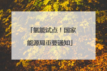 氢能试点！国家能源局重要通知