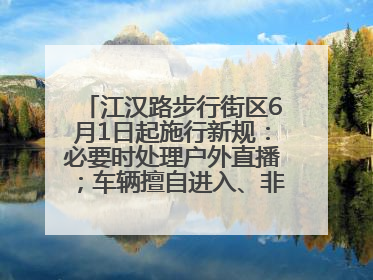 江汉路步行街区6月1日起施行新规：必要时处理户外直播；车辆擅自进入、非机动车任意停放的，依法处理
