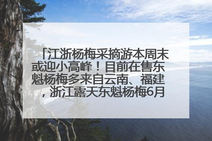 江浙杨梅采摘游本周末或迎小高峰！目前在售东魁杨梅多来自云南、福建，浙江露天东魁杨梅6月中旬大量上市