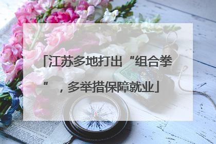 江苏多地打出“组合拳”，多举措保障就业