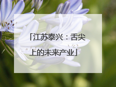 江苏泰兴：舌尖上的未来产业