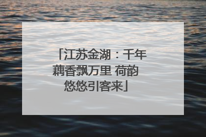 江苏金湖：千年藕香飘万里 荷韵悠悠引客来