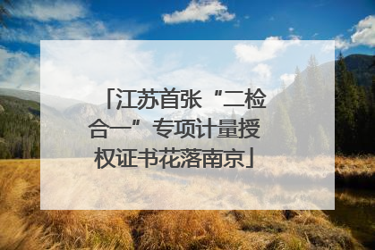 江苏首张“二检合一”专项计量授权证书花落南京