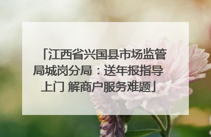江西省兴国县市场监管局城岗分局：送年报指导上门 解商户服务难题