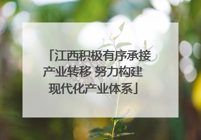 江西积极有序承接产业转移 努力构建现代化产业体系