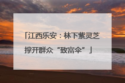 江西乐安：林下紫灵芝撑开群众“致富伞”