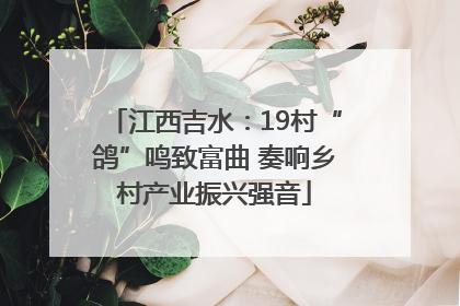 江西吉水：19村“鸽”鸣致富曲 奏响乡村产业振兴强音