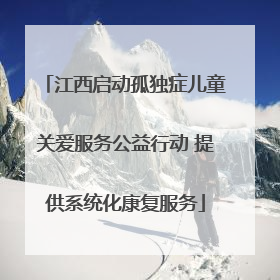 江西启动孤独症儿童关爱服务公益行动 提供系统化康复服务