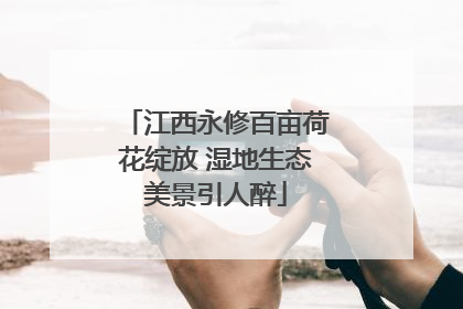 江西永修百亩荷花绽放 湿地生态美景引人醉