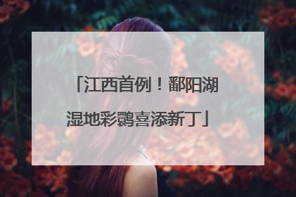 江西首例！鄱阳湖湿地彩鹮喜添新丁