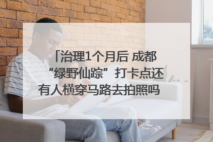 治理1个月后 成都“绿野仙踪”打卡点还有人横穿马路去拍照吗？｜民情瞭望