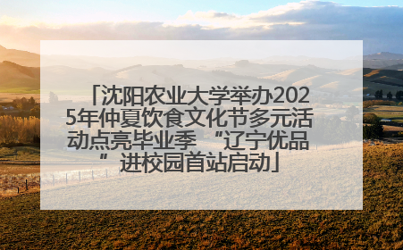 沈阳农业大学举办2025年仲夏饮食文化节多元活动点亮毕业季 “辽宁优品”进校园首站启动