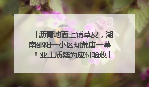 沥青地面上铺草皮，湖南邵阳一小区现荒唐一幕！业主质疑为应付验收