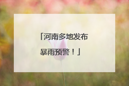 河南多地发布暴雨预警！