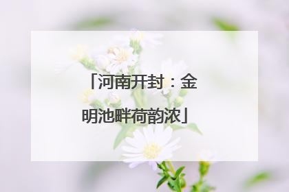 河南开封：金明池畔荷韵浓