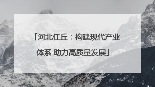 河北任丘：构建现代产业体系 助力高质量发展