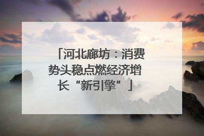 河北廊坊：消费势头稳点燃经济增长“新引擎”
