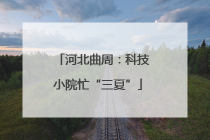 河北曲周：科技小院忙“三夏”