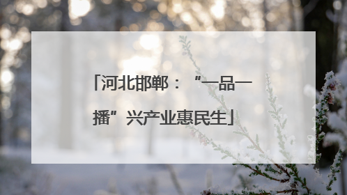 河北邯郸：“一品一播”兴产业惠民生
